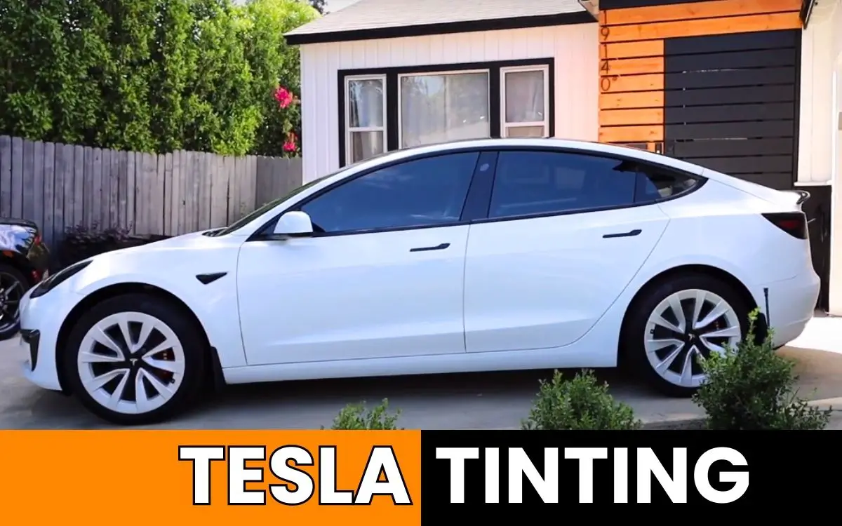 Tesla Model 3 Tint Problems